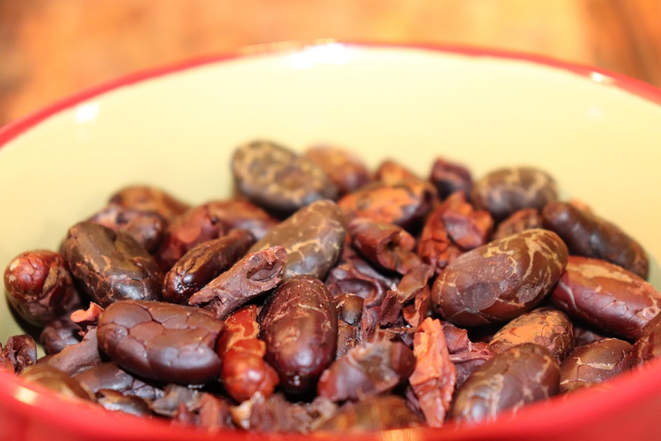 Cocoa Chocolate Cup - Free photo on Pixabay - Pixabay