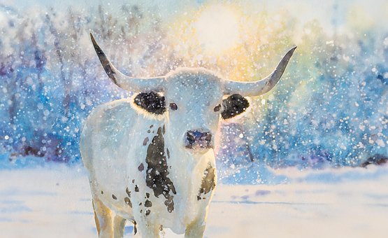 Free Ai Generated Bull illustration and picture