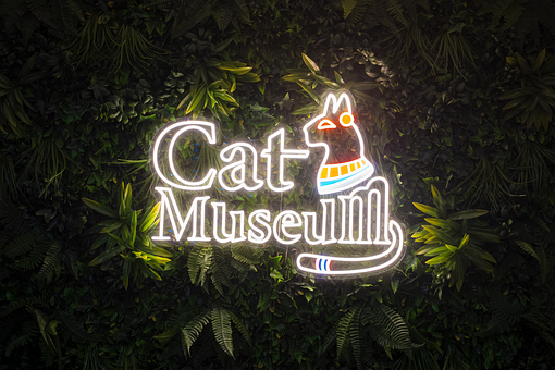 Museu Do Gato, Budapeste, Hungria