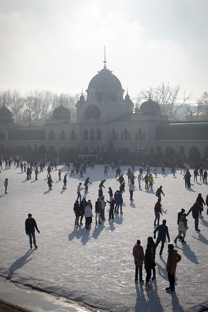 Free Hungary Budapest illustration and picture