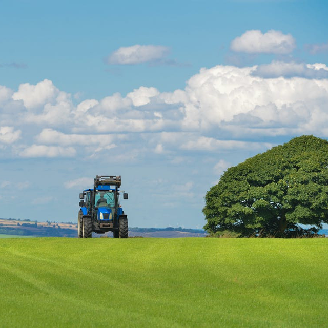 Free Lawn Turf Field Blue Tractor illustration and picture