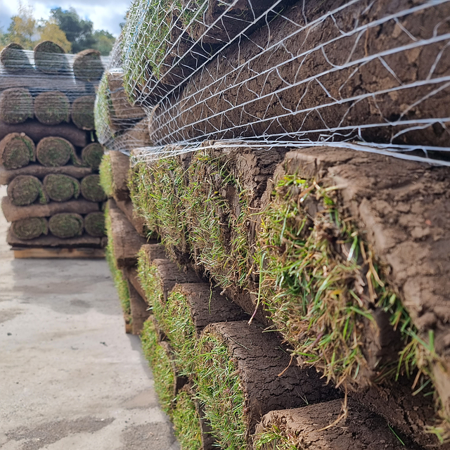 Free Turf Rolls Pallet Garden Lawn Turf illustration and picture