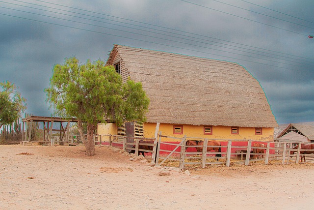Free Home Abandoned photo and picture