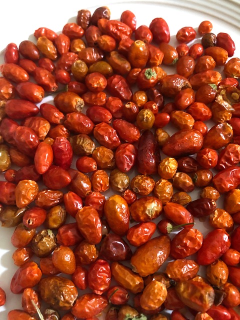Free Chili Pepper photo and picture