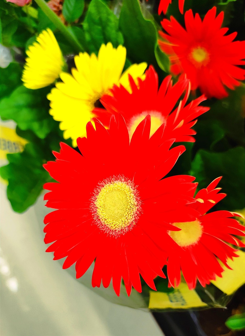 Bouquet Flowers Nature - Free photo on Pixabay - Pixabay