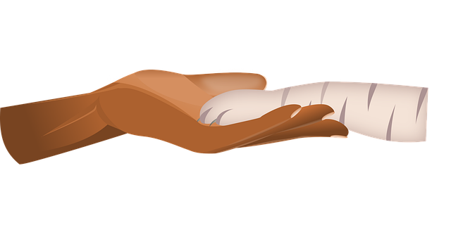 Hand, Kattenpoot, Natuur, Kat, Dier