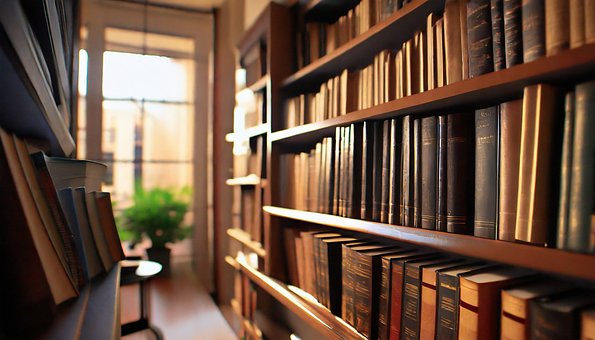 Bibliotek, Bøker, Lesehest, Bokelskere