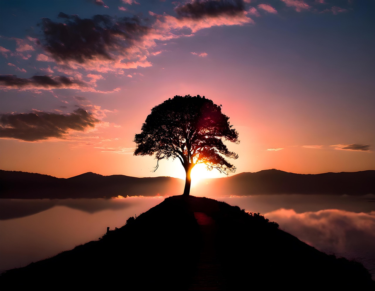 Download Nature, Tree, Forest. Royalty-Free Stock Illustration Image ...