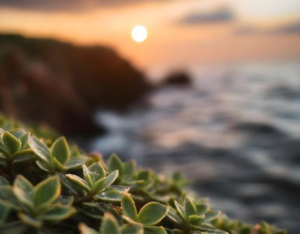 Mar, Oceano, Natureza, Praia, Pôr Do Sol