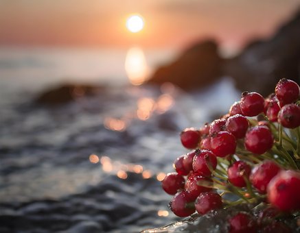 Oceano, Bagas, Pôr Do Sol, Mar, Natureza