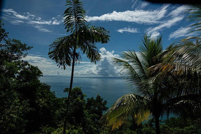 Free Costa Rica Tropical photo and picture