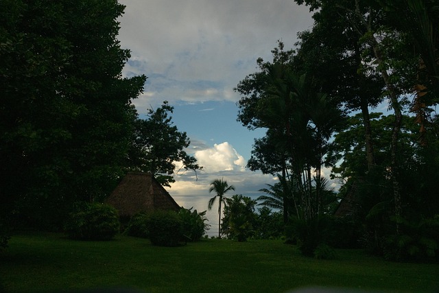Free Costa Rica Resort photo and picture