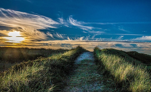 Free Sand Dunes Evening Atmosphere photo and picture