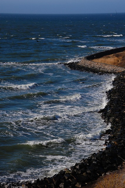 Free Coast Baltic Sea photo and picture