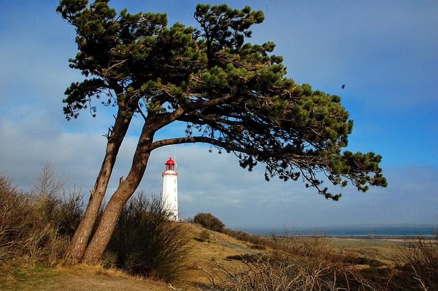 Free Landscape Island photo and picture