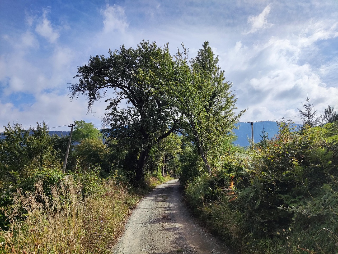 Nature Route De Campagne Photo Gratuite Sur Pixabay