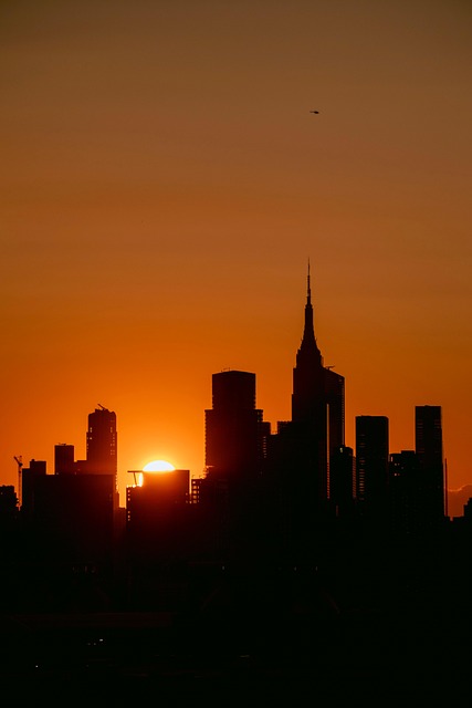 Free City Usa photo and picture