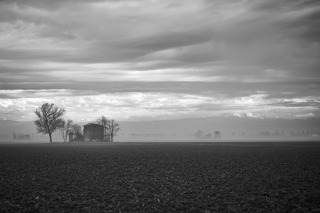 Free White Black Panorama photo and picture
