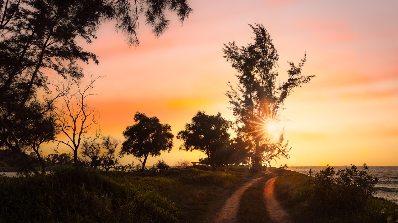 日落 晚上 树木 - Pixabay上的免费照片 - Pixabay