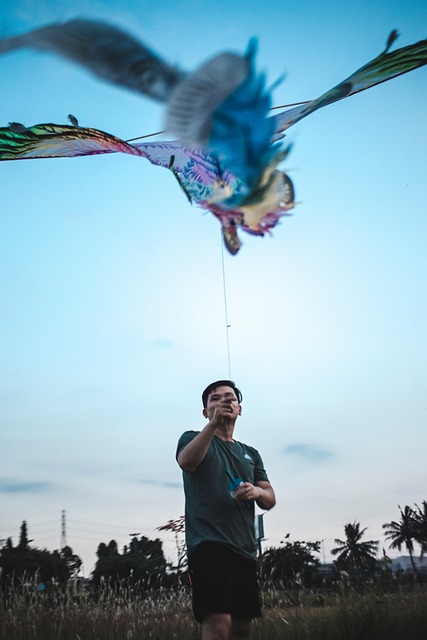 Free Boys Fly A Kite photo and picture