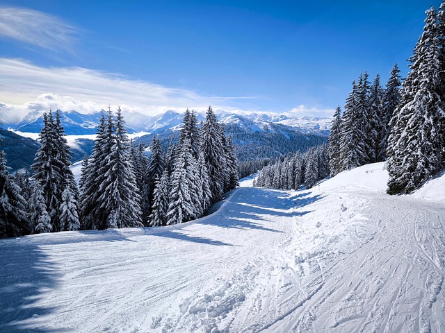 Gebirge, Berge, Alpen, Schnee, Piste