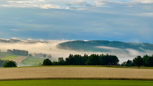 Free Haze Fog photo and picture
