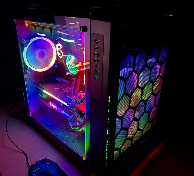 Free Computer Gaming photo and picture