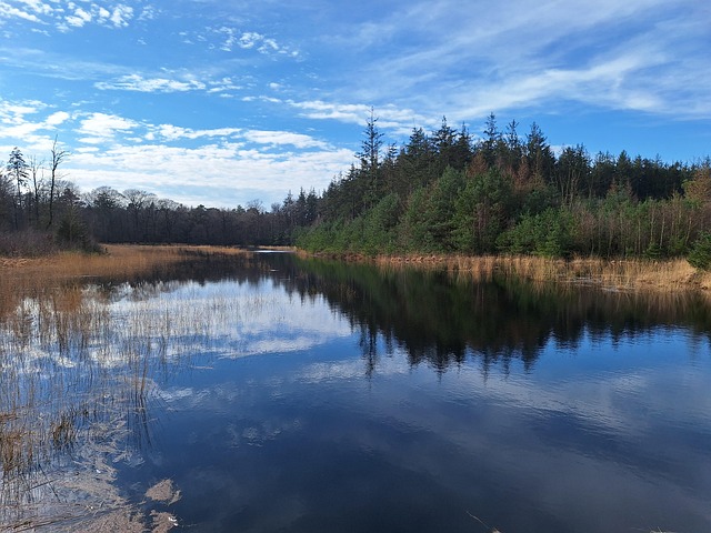 Free Nature Landscape photo and picture