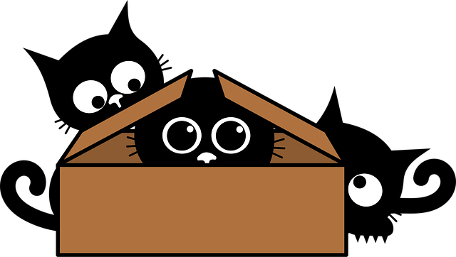 Free kittens cats box vector