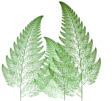Helecho, Verde, Sale De, Naturaleza