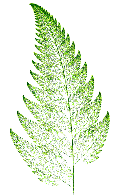 Helecho, Verde, Hoja, Sale De