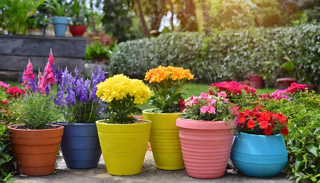 Ai Generiert, Blumen, Topfpflanzen