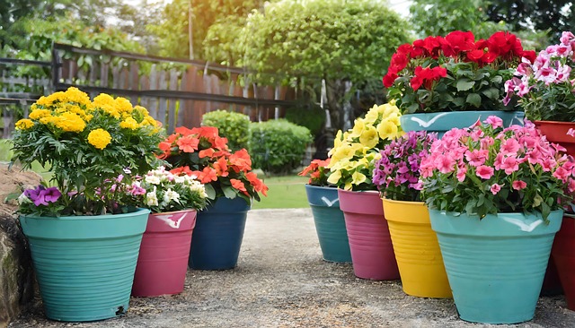 Ai Generiert, Blumen, Natur