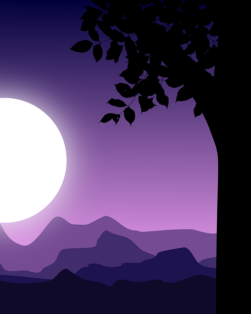 Download Late Afternoon, Natural, Sunrise. Royalty-Free Stock ...