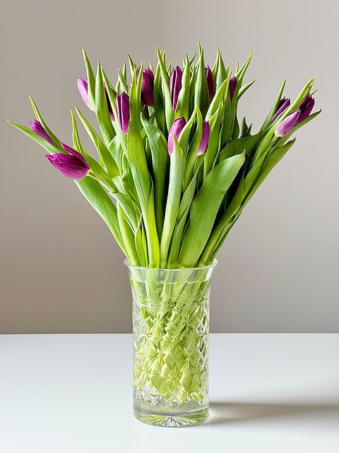 Tulpen, Blume, Vase, Pflanze