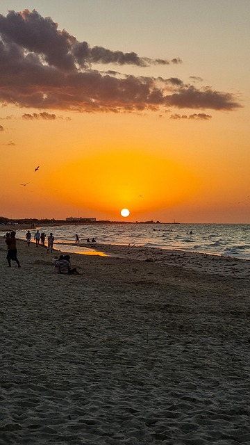 Landskap, Strand, Hav, Solnedgang, Natur
