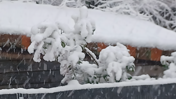 Sne, Vinter, Kold, Frosset, Is, Natur