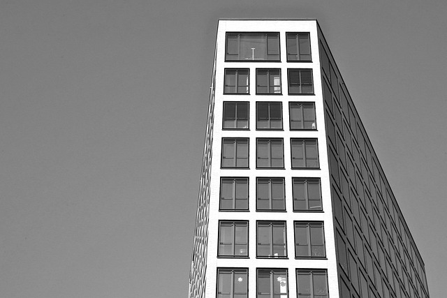 Free building skyscraper windows illustration