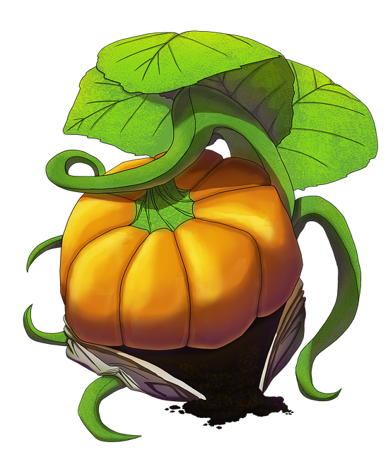 Calabaza, Vegetal, Jardín