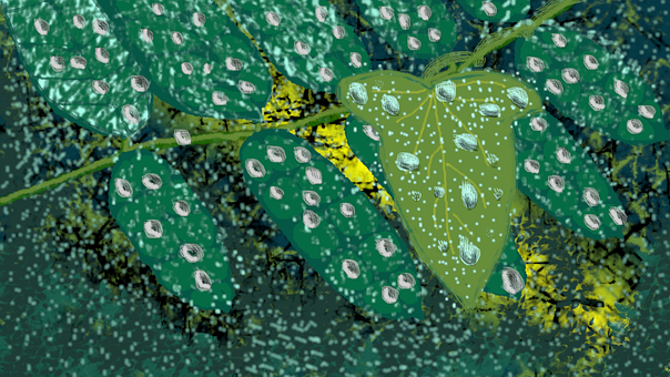 Hoja, Lluvia, Noche, Sale De, Naturaleza