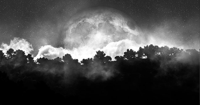 Free Moon Night photo and picture