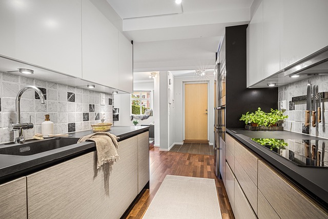 Free Kitchen Hallway photo and picture