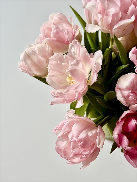 Rosa, Tulpen, Blumen, Vase, Strauß