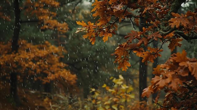 Free ai generated rain nature illustration