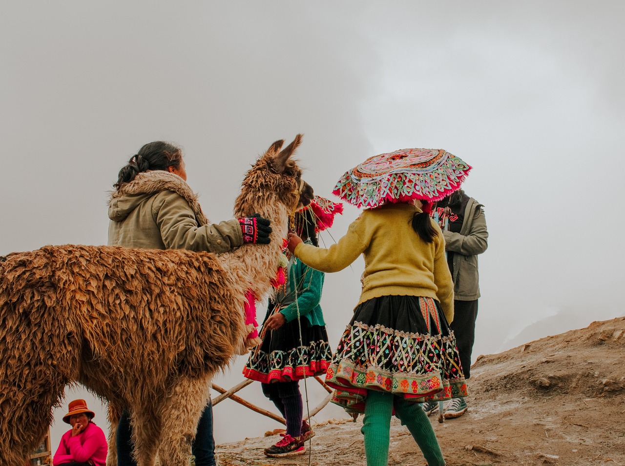 Andean Girl From Peru Andes - Free photo on Pixabay - Pixabay