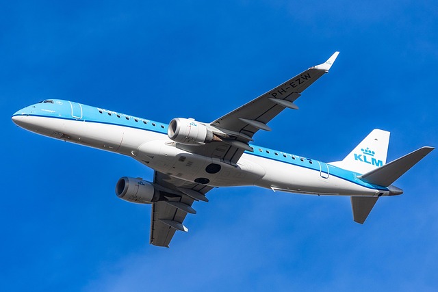 Free Plane Passenger photo and picture