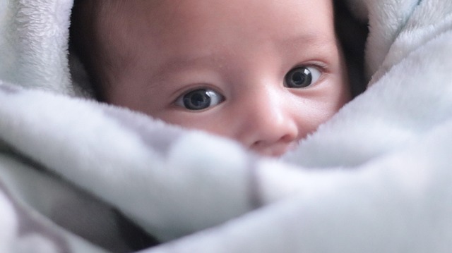 Baby, Familie, Kind, Porträt