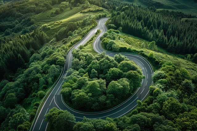 Free ai generated road trees illustration