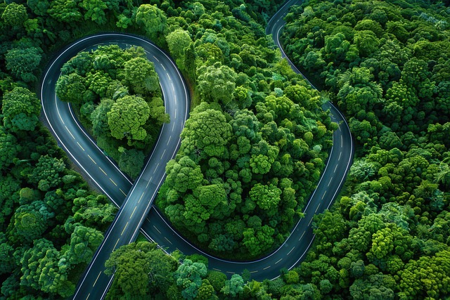 Free ai generated road trees illustration