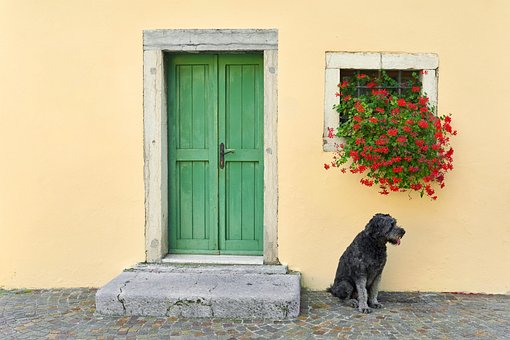 Free Entrance Door photo and picture